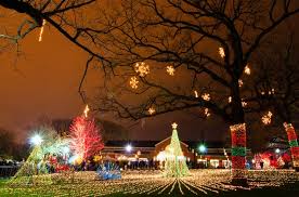 Zoolights Is Back At Chicago's Lincoln Park Zoo In Illinois