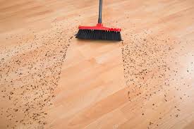 Broom Cleaning Dirt On Hardwood Floor