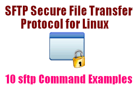 sftp command exles to transfer files