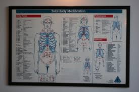 Total Body Modification Chiropractic Firsts Blog