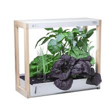 7 Best Indoor Gardening Systems To