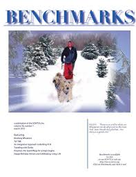 Soft Coated Wheaten Terrier Club Of
