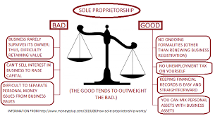 Sole Proprietorship Economics Personal Project
