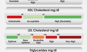 Efficient Triglyceride Levels Chart By Age 2019