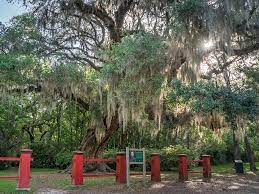 jungle gardens beauty on avery island