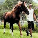 25 ans d'actions au service du cheval en Nouvelle-Calédonie : les ...