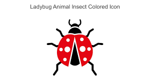 ladybug insect colored icon in