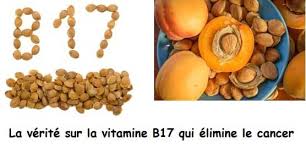 The potential benefits from vitamin b17, when taken in moderation include a reduction in blood pressure, a boosted immune system, relief from pain, and its supposed anticancer potential among others. La Verite Sur La Vitamine B17 Amygdaline Qui Elimine Le Cancer Sofiotheque