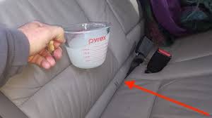 remove cat smell out of a car seat