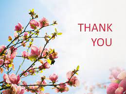 Thank you is simply a very strong word. Kostenlose Ppt Vorlage Magnolien Im Fruhling