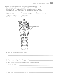And dale epub download download read anatomy and physiology coloring workbook answers chapter 13 the respiratory system ebook download showcase. Https Massasoit Instructure Com Files 27762576 Download Download Frd 1 Verifier Bttdnrvhaysr4za1k5rsjrm199pfn9n2tb7avdib
