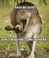 ROFL! KANGAROO MOMMY FUNNY picture quote to copy/paste/text ... via Relatably.com