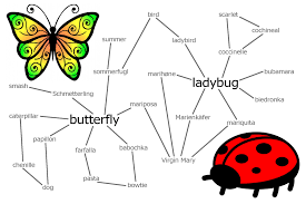 Word Connections Butterfly Ladybug The Philipendium