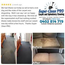 carpet cleaning near ferntree gully