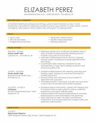 health care support resume exles
