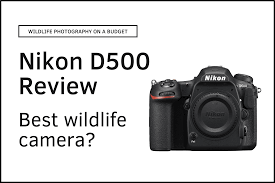 why the nikon d500 is one of the best