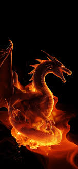 fire dragon black wallpapers fire