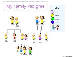 Family Pedigree For Eye Color Chart Create And Own Your