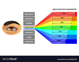 Visible Light Spectrum Color Waves Length