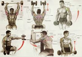 Shoulder Workout Chart Gym Workout Chart Gym Workouts
