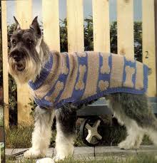 Knitting Pattern Dog Sweater Puppy Easy