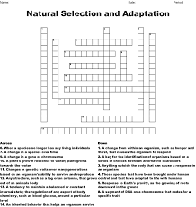 Natural Selection And Adaptation Crossword Wordmint