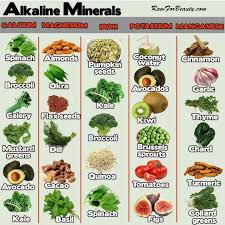 Whole Food Vitamin Chart Alkaline Foods Alkaline Diet Food