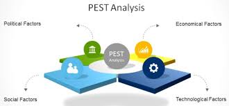 This means you need to enter the the pest control industry has seen a very high demand in recent years and the increase in their. How To Make A Pestel Or Pest Analysis