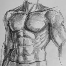Shaded drawing of torso anatomy. Figure Drawing Muscles