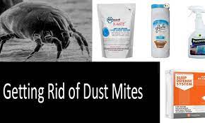 how to get rid of dust mites 5