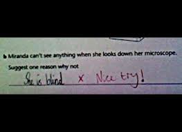    Of The Most Inappropriately Funny Kid s Test Answers   Caveman     PictureHelper Imgur