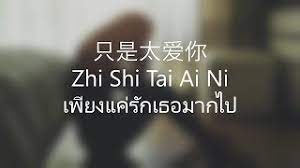 Forgive me for being drunk. åªæ˜¯å¤ªçˆ±ä½  Lyrics Zhi Shi Tai Ai Ni à¹€à¸ž à¸¢à¸‡à¹à¸„ à¸£ à¸à¹€à¸˜à¸­à¸¡à¸²à¸à¹„à¸› à¹à¸›à¸¥ Thaisub Youtube