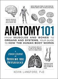 It is available for free. Anatomy 101 From Muscles And Bones To Organs And Systems Your Guide To How The Human Body Works By Kevin Langford