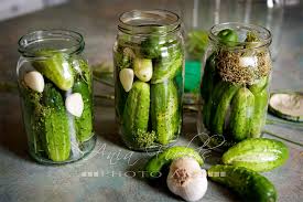 easy lacto fermented pickles recipe