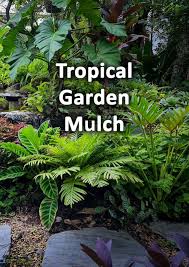 tropical garden mulch what is the