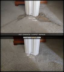 5 star rated carpet repair services
