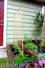 Making A Pea Trellis With Kids