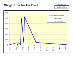 Online Weight Loss Tracker Jasonkellyphoto Co