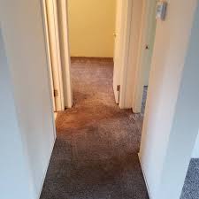 carpet cleaners springfield or carpet