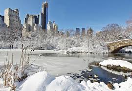 what to do in nyc in winter