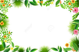 Exotic Tropical Leaf And Flower Border Background For Invitation