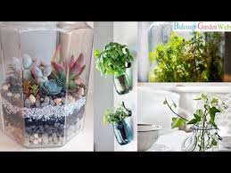 21 Indoor Plants You Can Grow In Jars