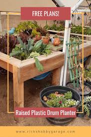 diy raised plastic drum planter a step