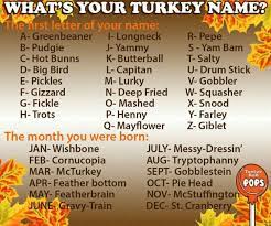 Observed annually on the last thursday of november, the secular holiday, which marks the start of the festive season. Turkey Name Funny Name Generator Funny Names Names