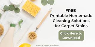 homemade cleaning solution for carpet