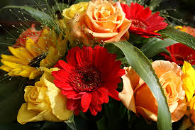 free images bouquet flower arranging