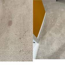 steamaster carpet cleaning 16 photos