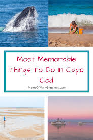 most memorable things to do in cape cod