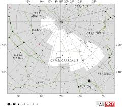 The Five Circumpolar Constellations Of The Northern Hemisphere