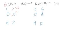 Balancing Photosynthesis